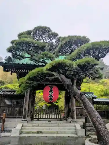 長谷寺の{uncategorized: "未分類", other: "その他", undefined: "問題あり", building: "その他建物", grave: "お墓", sacred_gate: "鳥居", guardian: "狛犬", statue: "像", buddha: "仏像", history: "歴史", nature: "自然", garden: "庭園", animal: "動物", pagoda: "塔", temizu: "手水舎", mountain_gate: "山門・神門", sanctuary: "本殿・本堂", subordinate: "末社・摂社", art: "芸術", scenery: "景色", jizo: "地蔵", ema: "絵馬", goshuin: "御朱印", omikuji: "おみくじ", items: "授与品その他", amulet: "お守り", goshuincho: "御朱印帳", eats: "食事", festival: "お祭り", votive_dance: "神楽", shichigosan: "七五三参", wedding: "結婚式", experience: "体験その他", initially: "初詣", around: "周辺", anti_infection: "感染症対策"}