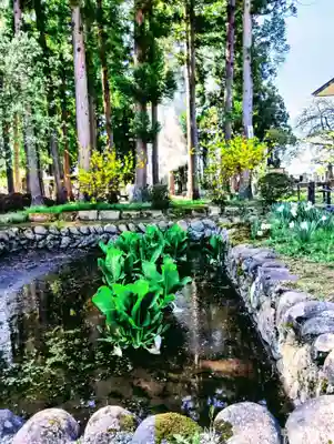 林泉寺(山形県)