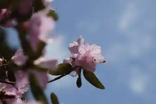土津神社｜こどもと出世の神さまの自然