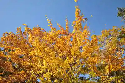 石鎚神社　土小屋遥拝殿(愛媛県)