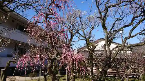 太宰府天満宮の庭園