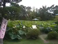 白山神社の庭園