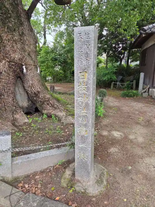 日枝神社(佐賀県)