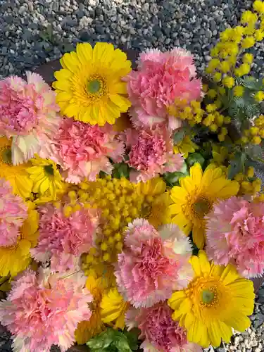彌都加伎神社の手水舎