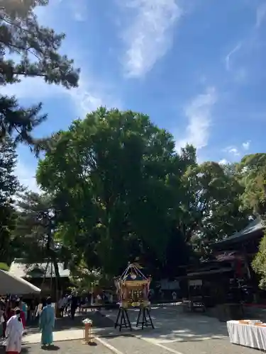 平塚八幡宮(神奈川県)