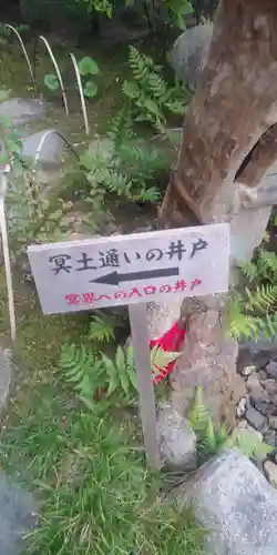 六道珍皇寺の歴史