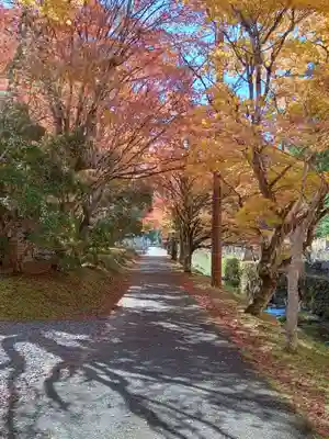 高野山金剛峯寺奥の院(和歌山県)