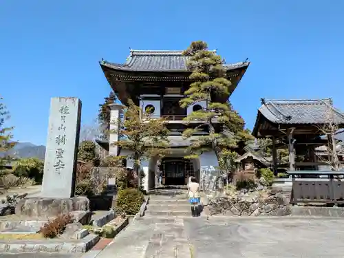 耕雲寺の山門