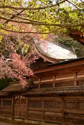 宇和津彦神社(愛媛県)