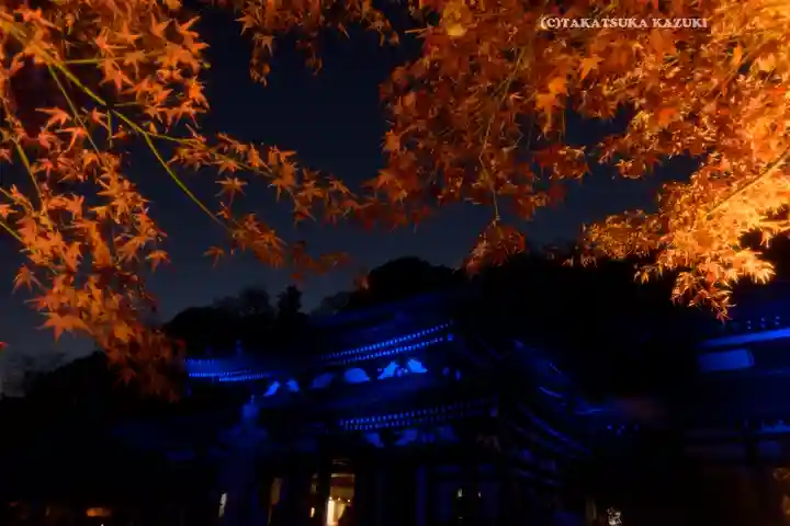 長谷寺(神奈川県)