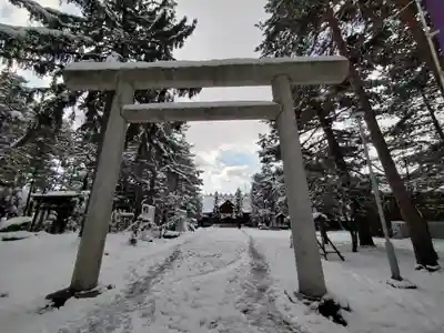 上川神社の鳥居