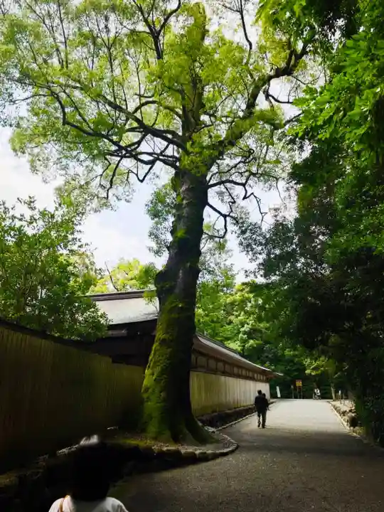 伊勢神宮外宮(豊受大神宮)(三重県)