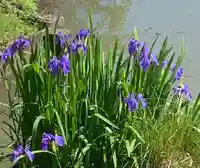 牟禮山観音禅寺の自然