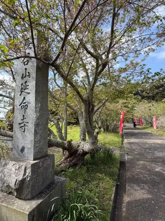 延命寺の{uncategorized: "未分類", other: "その他", undefined: "問題あり", building: "その他建物", grave: "お墓", sacred_gate: "鳥居", guardian: "狛犬", statue: "像", buddha: "仏像", history: "歴史", nature: "自然", garden: "庭園", animal: "動物", pagoda: "塔", temizu: "手水舎", mountain_gate: "山門・神門", sanctuary: "本殿・本堂", subordinate: "末社・摂社", art: "芸術", scenery: "景色", jizo: "地蔵", ema: "絵馬", goshuin: "御朱印", omikuji: "おみくじ", items: "授与品その他", amulet: "お守り", goshuincho: "御朱印帳", eats: "食事", festival: "お祭り", votive_dance: "神楽", shichigosan: "七五三参", wedding: "結婚式", experience: "体験その他", initially: "初詣", around: "周辺", anti_infection: "感染症対策"}