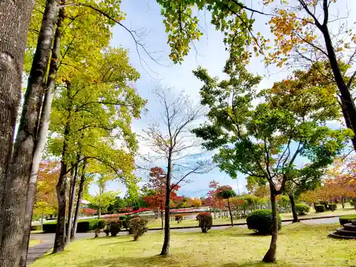 開成山大神宮の周辺