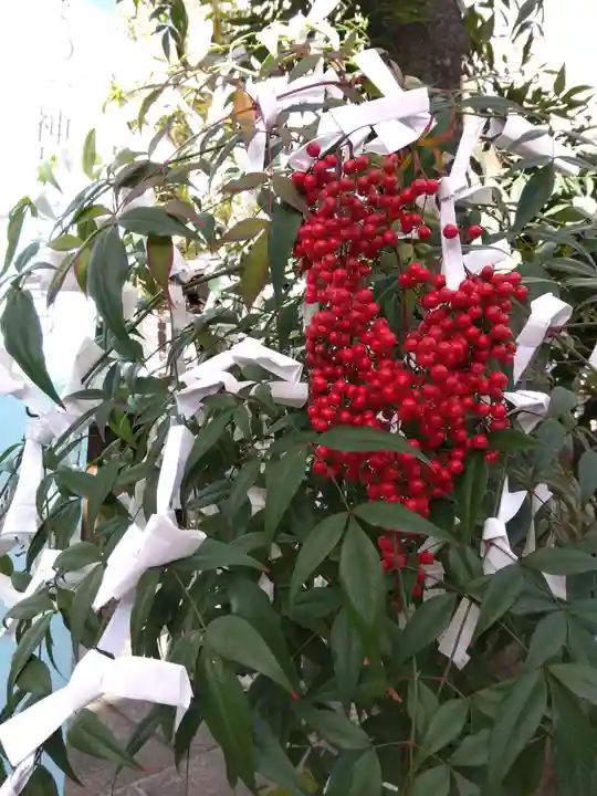 文子天満宮の自然