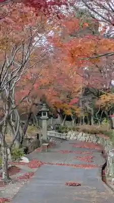 柳谷観音　楊谷寺(京都府)