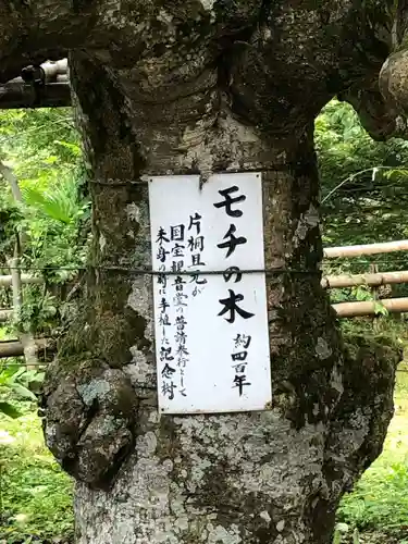 宝厳寺の自然