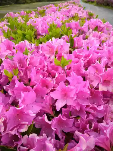 国宝　長寿寺の自然