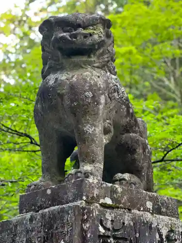 北口本宮冨士浅間神社の狛犬