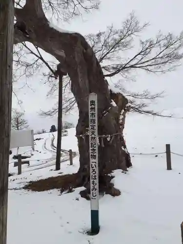 八雲神社(岩手県)