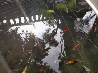 鈴鹿明神社(神奈川県)
