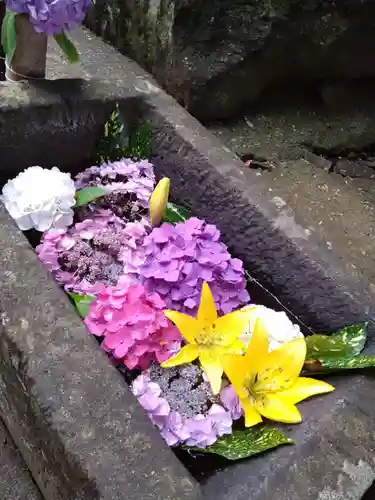 河内阿蘇神社の手水舎