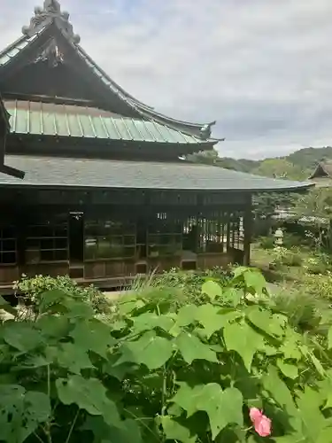 東慶寺(神奈川県)