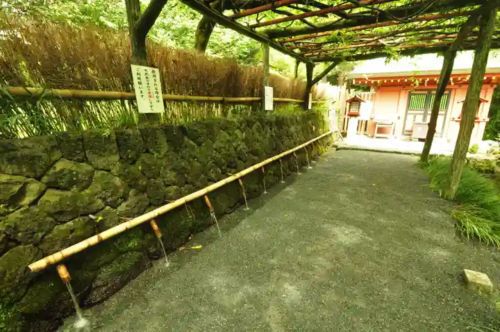 富士山本宮浅間大社(静岡県)