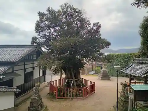山王宮日吉神社(京都府)