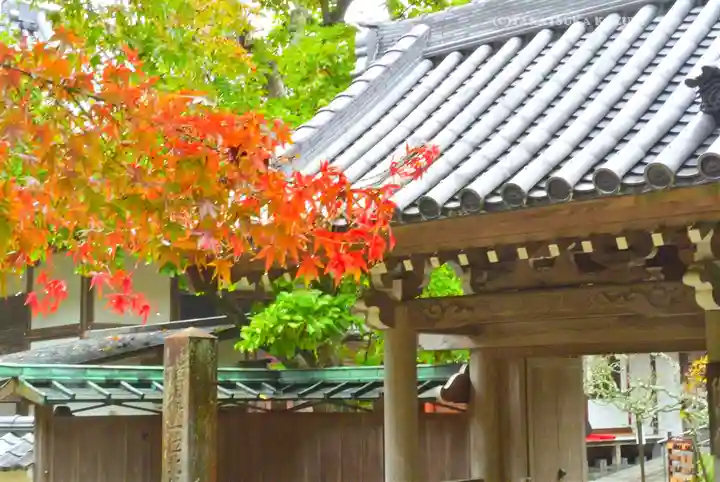 円覚寺(神奈川県)