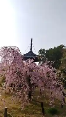 清凉寺(京都府)