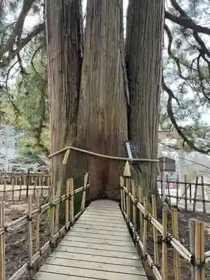 戸隠神社中社(長野県)