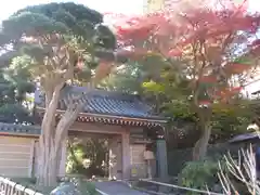 報国寺(神奈川県)