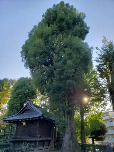 西向天神社のその他建物