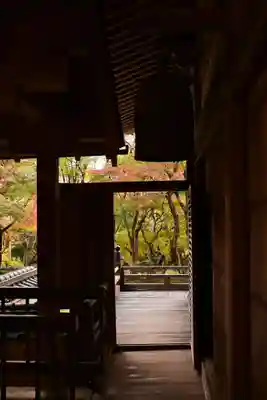 勝持寺（花の寺）(京都府)