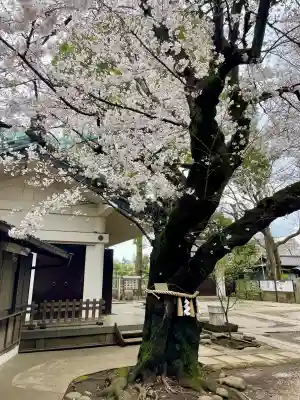 駒込天祖神社の{uncategorized: "未分類", other: "その他", undefined: "問題あり", building: "その他建物", grave: "お墓", sacred_gate: "鳥居", guardian: "狛犬", statue: "像", buddha: "仏像", history: "歴史", nature: "自然", garden: "庭園", animal: "動物", pagoda: "塔", temizu: "手水舎", mountain_gate: "山門・神門", sanctuary: "本殿・本堂", subordinate: "末社・摂社", art: "芸術", scenery: "景色", jizo: "地蔵", ema: "絵馬", goshuin: "御朱印", omikuji: "おみくじ", items: "授与品その他", amulet: "お守り", goshuincho: "御朱印帳", eats: "食事", festival: "お祭り", votive_dance: "神楽", shichigosan: "七五三参", wedding: "結婚式", experience: "体験その他", initially: "初詣", around: "周辺", anti_infection: "感染症対策"}
