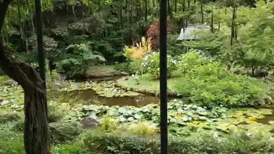 本土寺(千葉県)