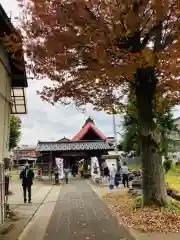 皇大神宮(新潟県)