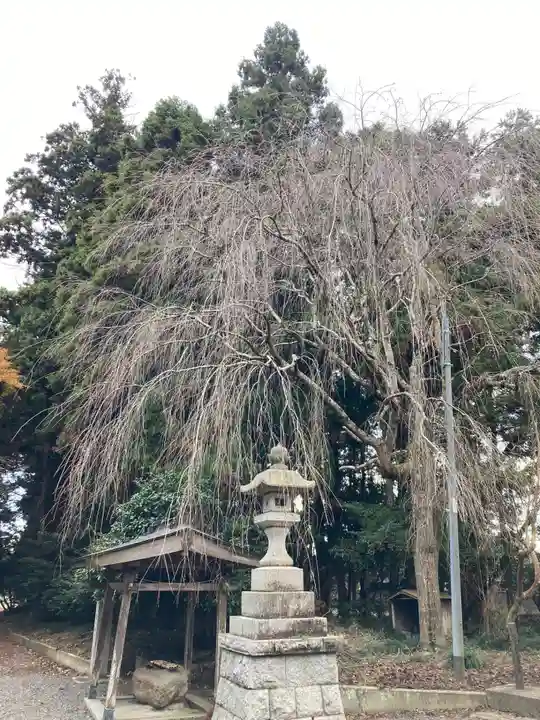 藤内神社(茨城県)