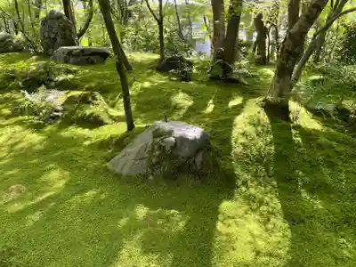 禅林寺(永観堂)(京都府)