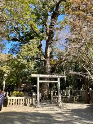 伊弉諾神宮(兵庫県)