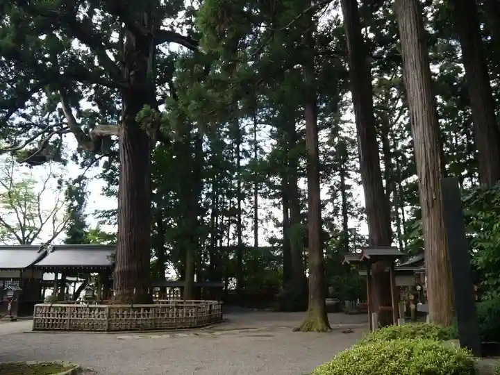 日高神社の自然