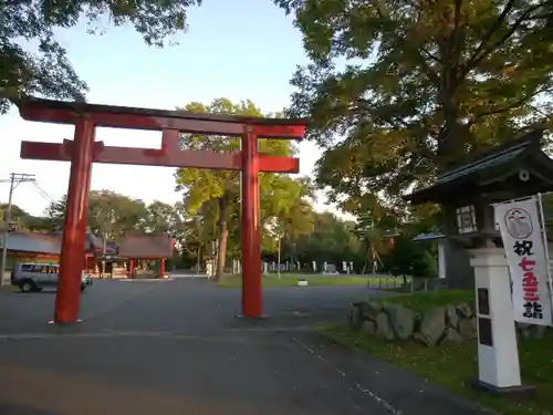 北海道護國神社の鳥居