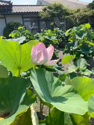 要法寺(神奈川県)