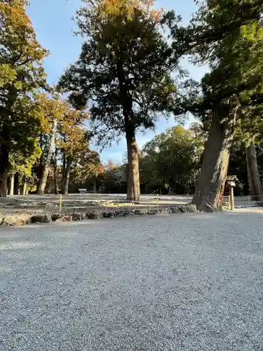 伊勢神宮外宮（豊受大神宮）の自然