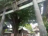 湯島天満宮(東京都)