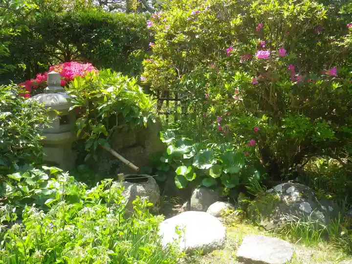 浄光明寺の庭園