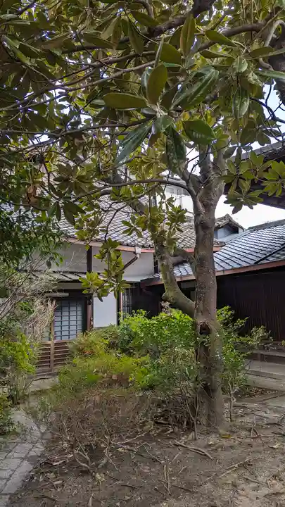 城安寺(京都府)