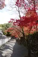 神峯山寺(大阪府)